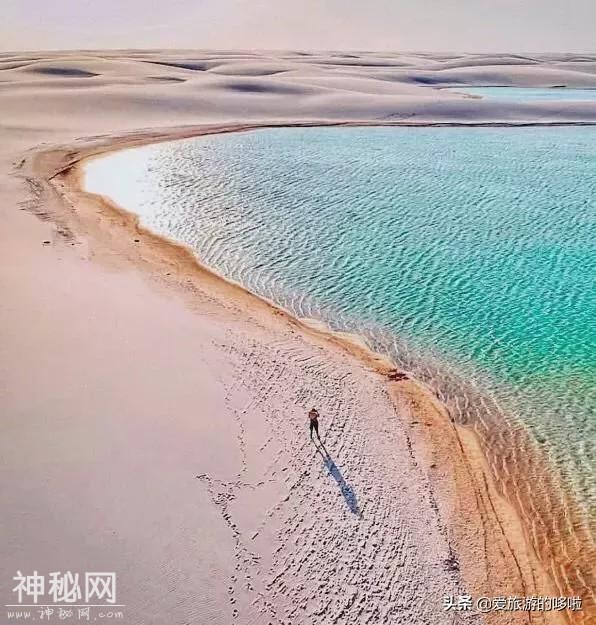 地球上最“诡异”的沙漠，遍地湖泊，鱼虾成群，吸引数十万游客-20.jpg